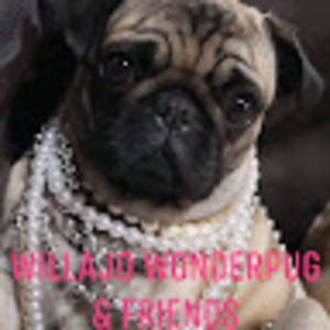 Meet your Posher, Willa-jo wonder-pug